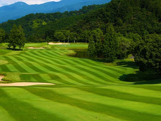 13abb2623c6456e0a4eb83effbbe0fe6_1768553807_5798.png 13abb2623c6456e0a4eb83effbbe0fe6_1768553807_5798.png