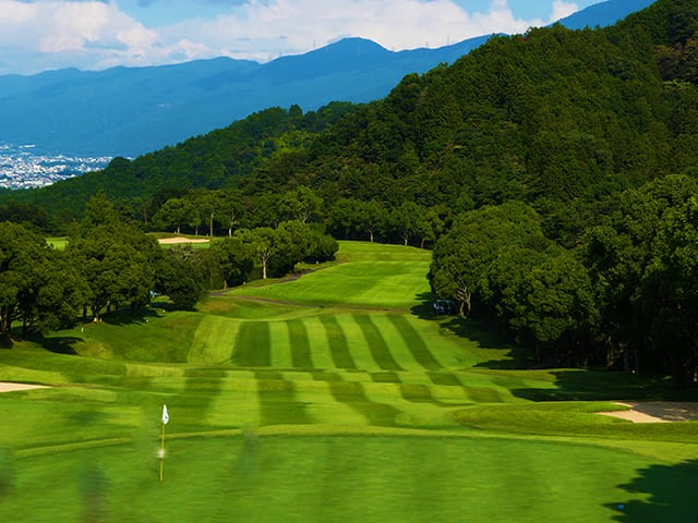 13abb2623c6456e0a4eb83effbbe0fe6_1768553807_9061.png 13abb2623c6456e0a4eb83effbbe0fe6_1768553807_9061.png