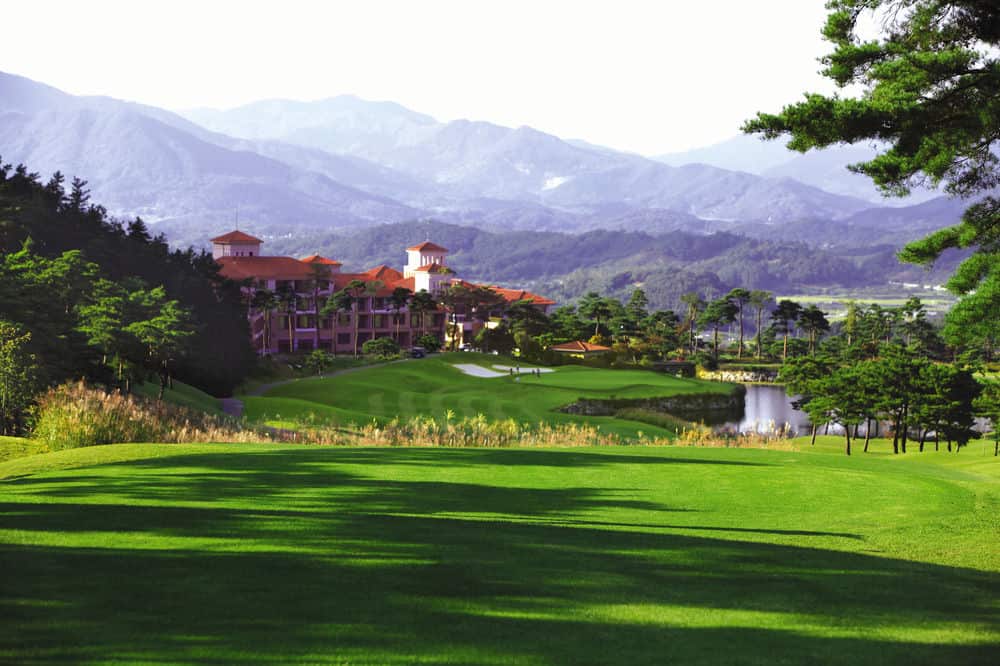 3da43fe63b978cc3eb5769a44600716c_1768891556_0844.jpg 3da43fe63b978cc3eb5769a44600716c_1768891556_0844.jpg