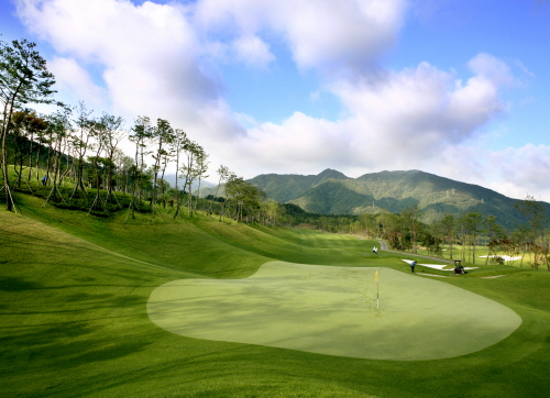 3da43fe63b978cc3eb5769a44600716c_1768891556_7405.jpg 3da43fe63b978cc3eb5769a44600716c_1768891556_7405.jpg