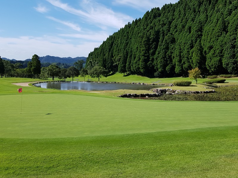 a0538435c2674044b30b6981048c0b92_1769409678_0591.jpg a0538435c2674044b30b6981048c0b92_1769409678_0591.jpg