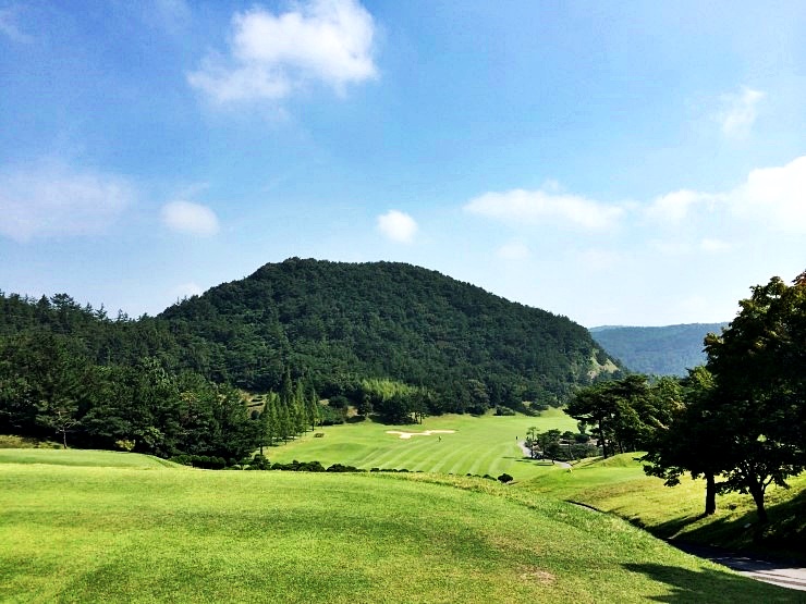 5117ca184eceb9864b1f19d7a2c88dad_1770700959_6109.jpg 5117ca184eceb9864b1f19d7a2c88dad_1770700959_6109.jpg