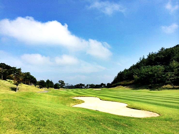 5117ca184eceb9864b1f19d7a2c88dad_1770700959_9048.jpg 5117ca184eceb9864b1f19d7a2c88dad_1770700959_9048.jpg