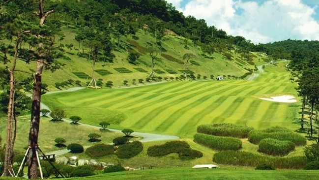 5117ca184eceb9864b1f19d7a2c88dad_1770701028_0271.jpg 5117ca184eceb9864b1f19d7a2c88dad_1770701028_0271.jpg