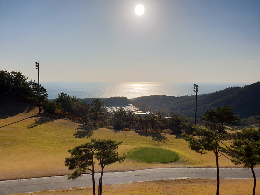 5117ca184eceb9864b1f19d7a2c88dad_1770704254_0184.jpg 5117ca184eceb9864b1f19d7a2c88dad_1770704254_0184.jpg