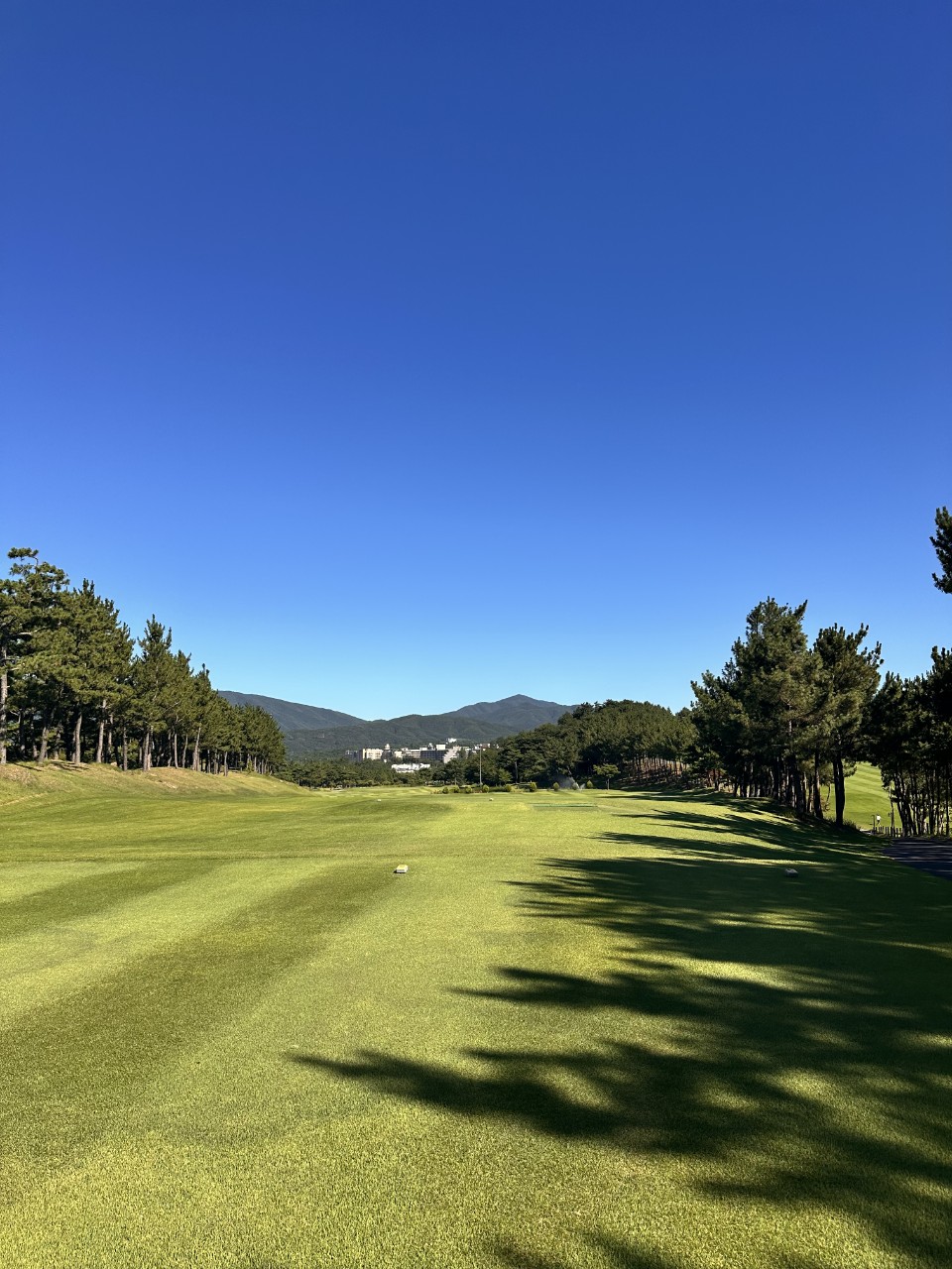 55324e0fbad03aec8c740d68d6a089b3_1770171456_9004.jpg 55324e0fbad03aec8c740d68d6a089b3_1770171456_9004.jpg