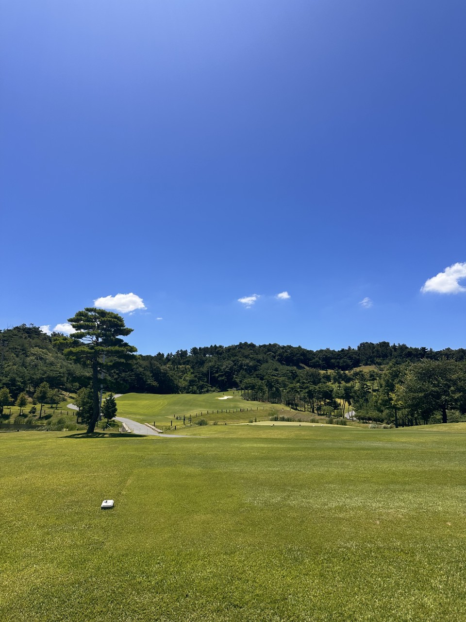 55324e0fbad03aec8c740d68d6a089b3_1770171457_4653.jpg 55324e0fbad03aec8c740d68d6a089b3_1770171457_4653.jpg