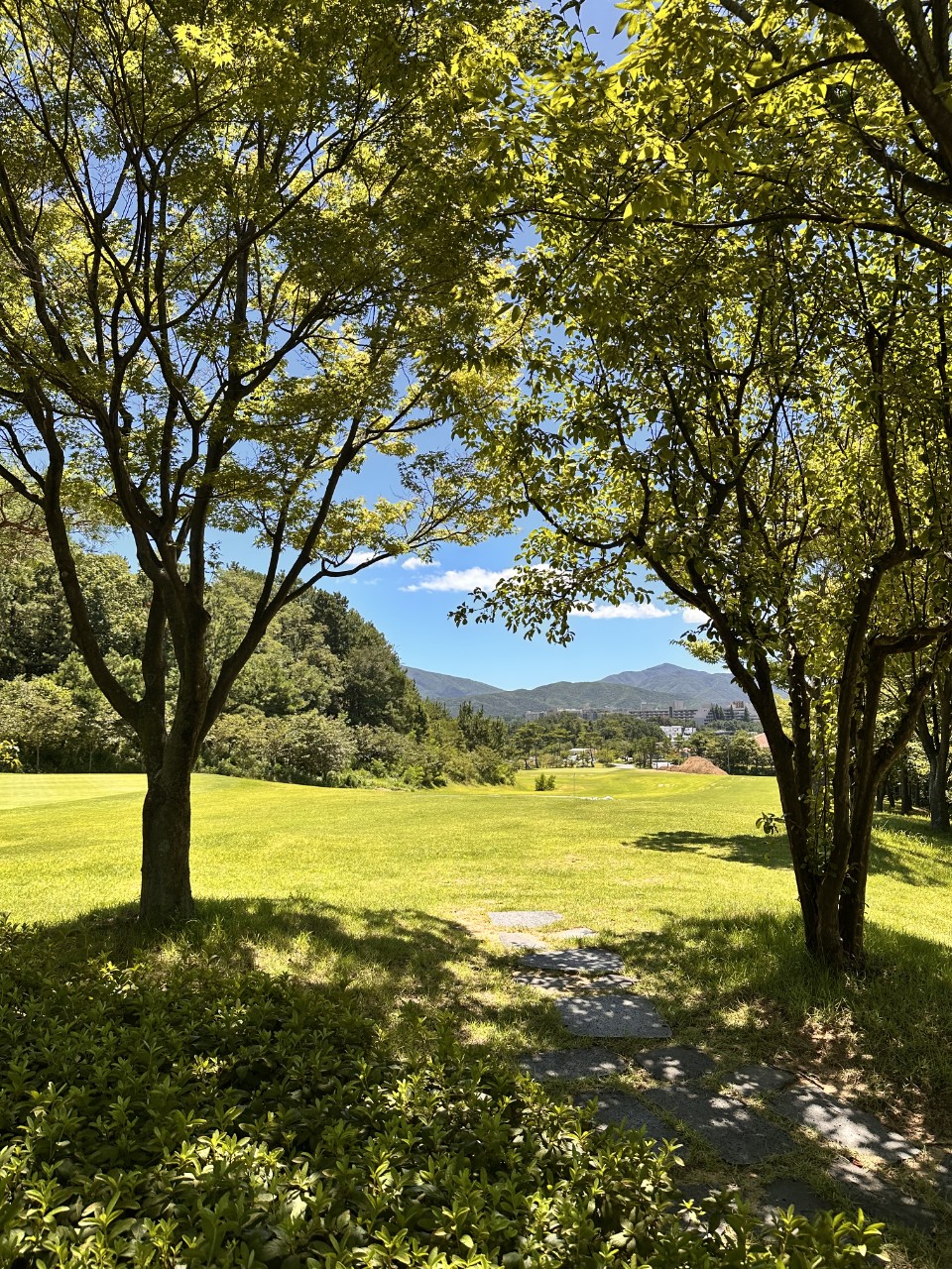 55324e0fbad03aec8c740d68d6a089b3_1770171458_5667.jpg 55324e0fbad03aec8c740d68d6a089b3_1770171458_5667.jpg