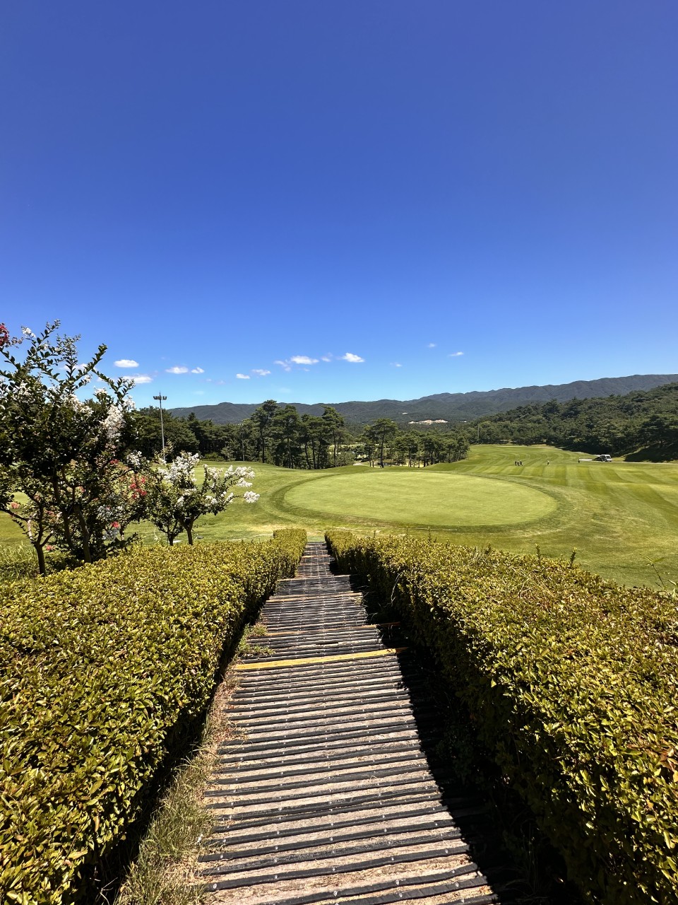 55324e0fbad03aec8c740d68d6a089b3_1770171460_3946.jpg 55324e0fbad03aec8c740d68d6a089b3_1770171460_3946.jpg