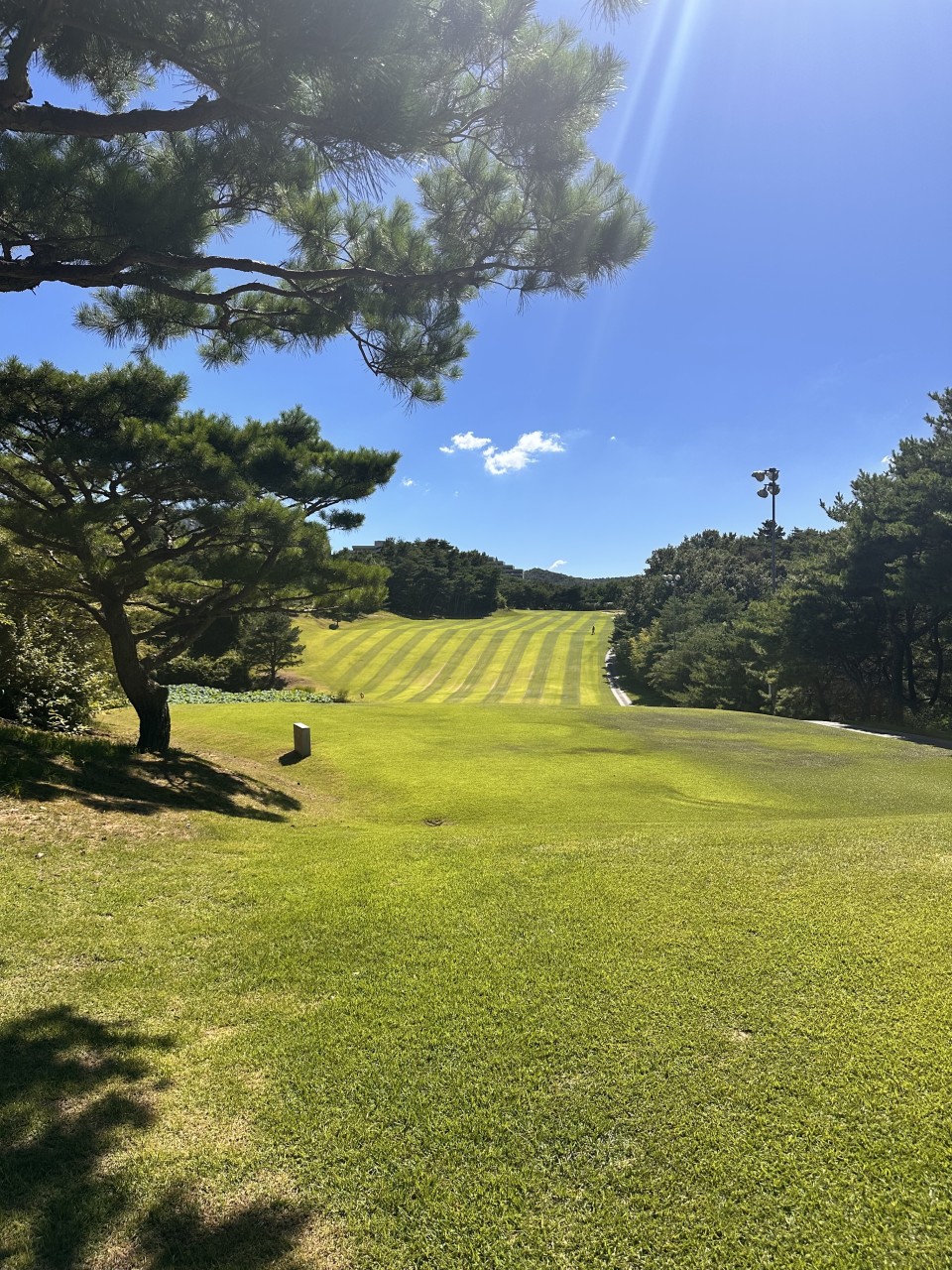 8f2842edb5e9b4734b74af0ccef79819_1770690680_838.jpg 8f2842edb5e9b4734b74af0ccef79819_1770690680_838.jpg