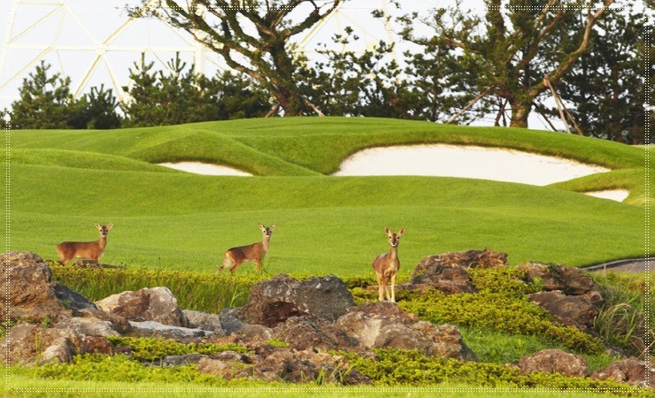 a8395169ce863bd7a3e0be193769bd6d_1770097878_4165.jpg a8395169ce863bd7a3e0be193769bd6d_1770097878_4165.jpg