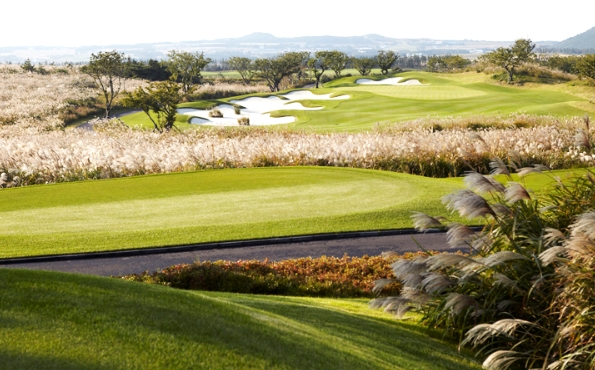 a8395169ce863bd7a3e0be193769bd6d_1770097878_7458.jpg a8395169ce863bd7a3e0be193769bd6d_1770097878_7458.jpg