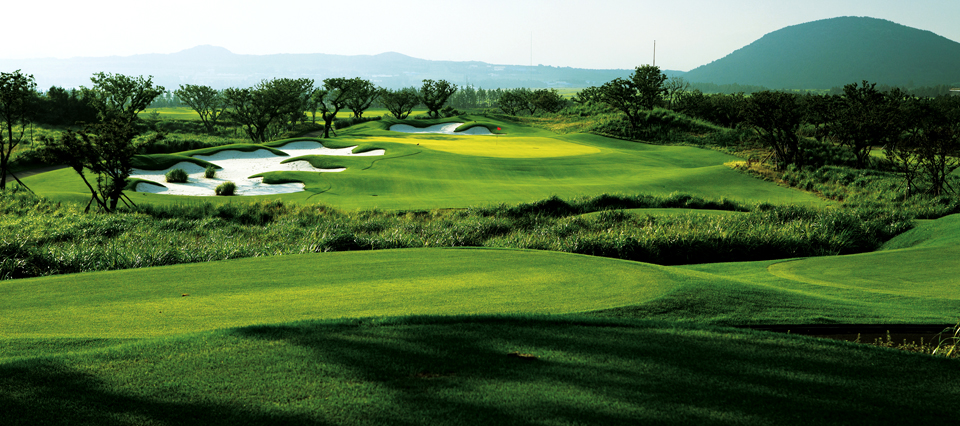 a8395169ce863bd7a3e0be193769bd6d_1770097879_233.jpg a8395169ce863bd7a3e0be193769bd6d_1770097879_233.jpg