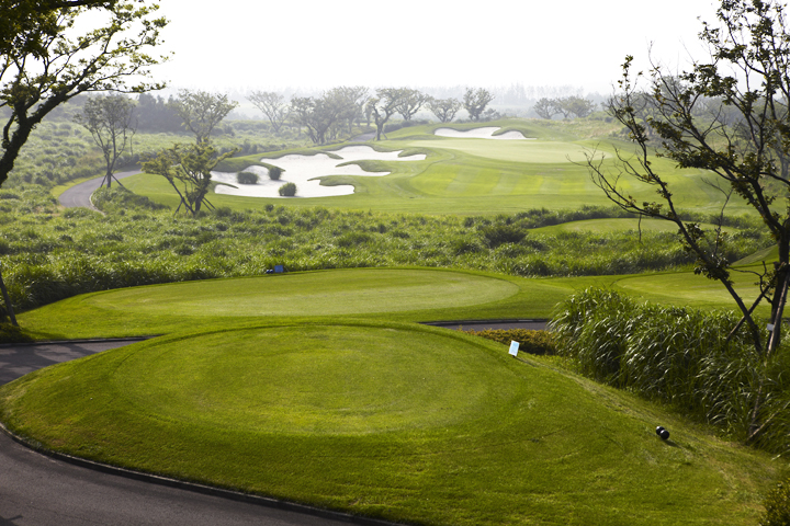 a8395169ce863bd7a3e0be193769bd6d_1770097879_376.jpg a8395169ce863bd7a3e0be193769bd6d_1770097879_376.jpg