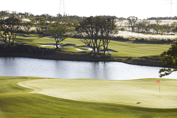 a8395169ce863bd7a3e0be193769bd6d_1770097991_72.jpg a8395169ce863bd7a3e0be193769bd6d_1770097991_72.jpg