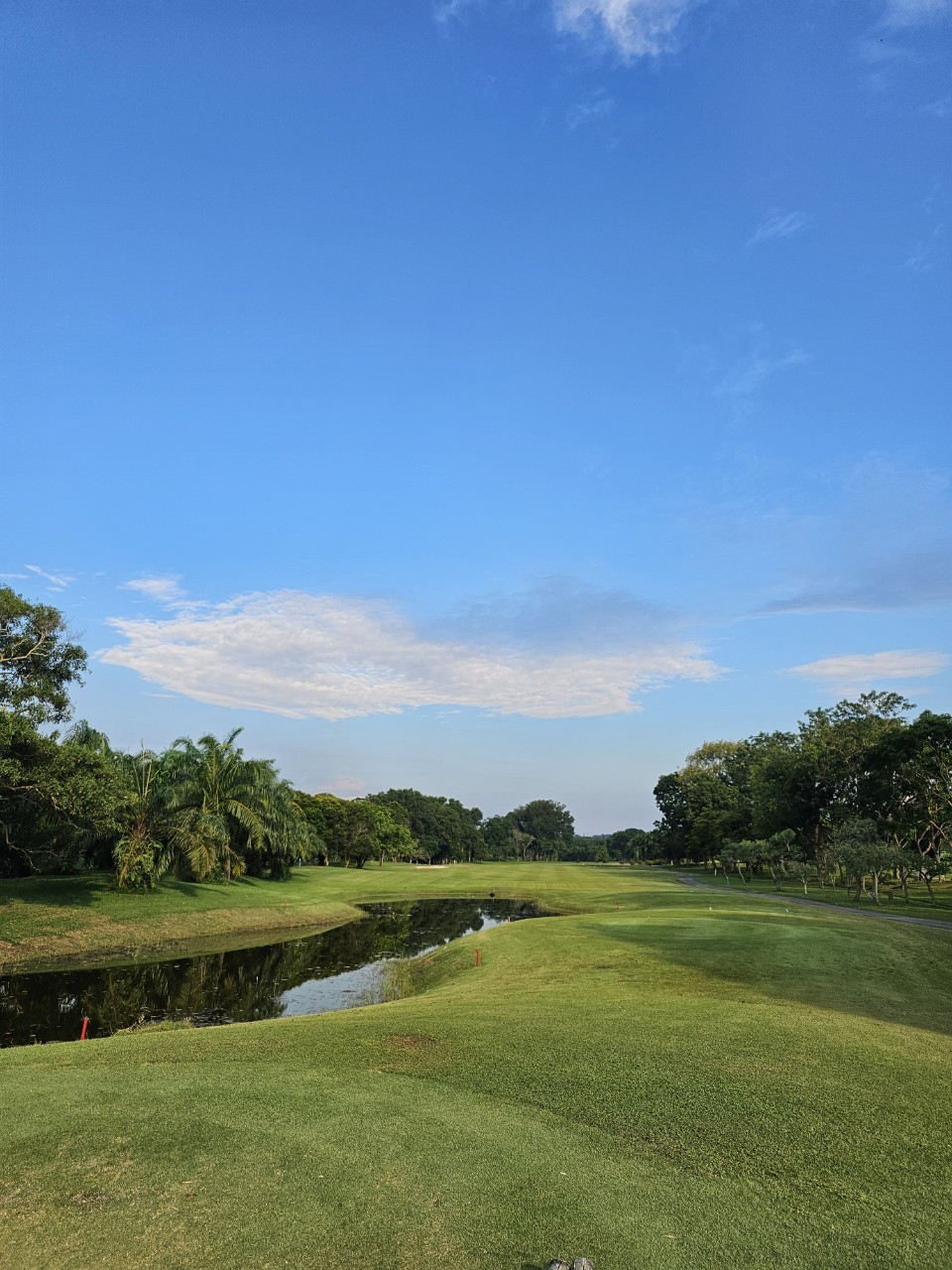 c6230b438543d473929a6cce83f41618_1770262812_1213.jpg c6230b438543d473929a6cce83f41618_1770262812_1213.jpg