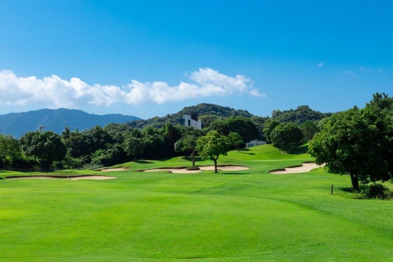 d7356df0a8ce26750b80a4da4a765876_1770359901_7617.jpg d7356df0a8ce26750b80a4da4a765876_1770359901_7617.jpg