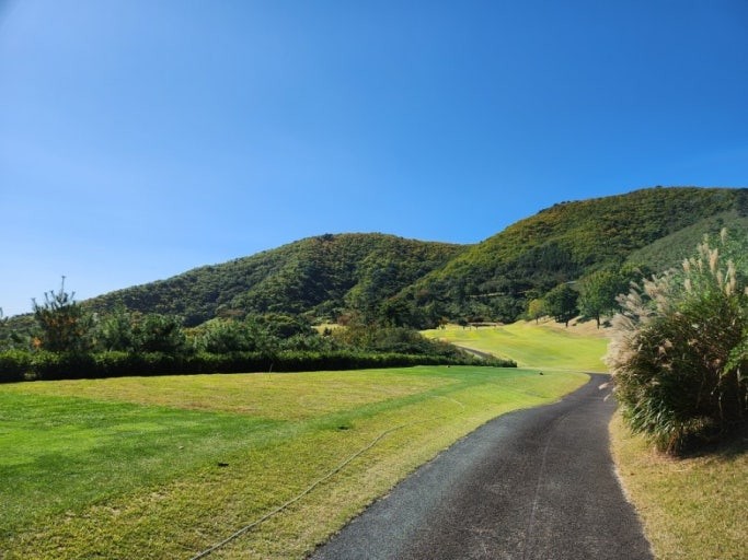 11f3a06d161758897d9a557c1f615983_1772521159_6397.jpg 11f3a06d161758897d9a557c1f615983_1772521159_6397.jpg