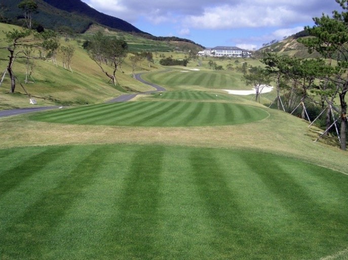 11f3a06d161758897d9a557c1f615983_1772521159_7486.jpg 11f3a06d161758897d9a557c1f615983_1772521159_7486.jpg