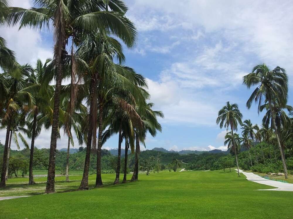 24ca303485ef48ab53df15e0cb73a16d_1773893662_0801.jpg 24ca303485ef48ab53df15e0cb73a16d_1773893662_0801.jpg