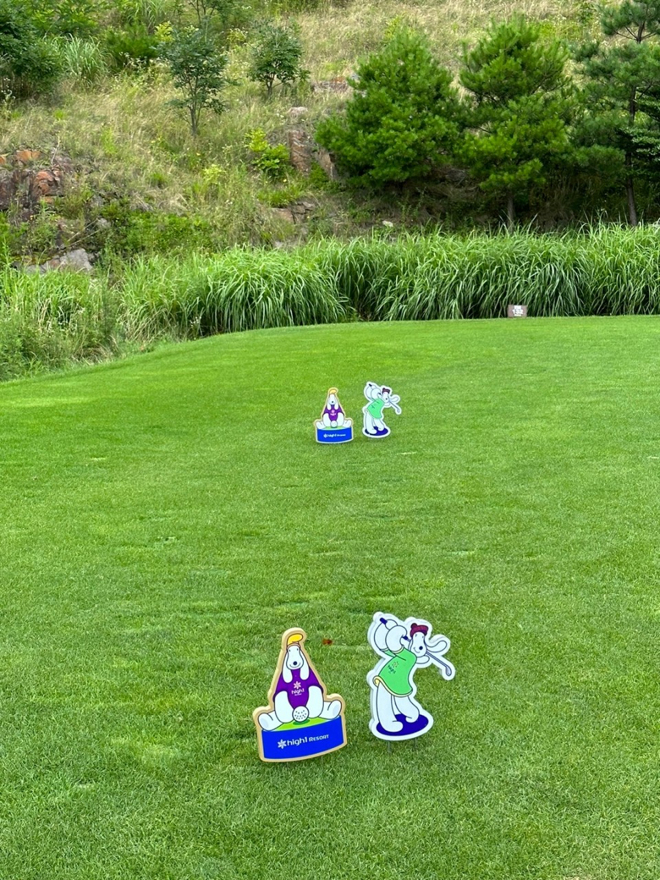 4ede615adbc655e385cca97ff7151045_1773626074_9892.jpg 4ede615adbc655e385cca97ff7151045_1773626074_9892.jpg