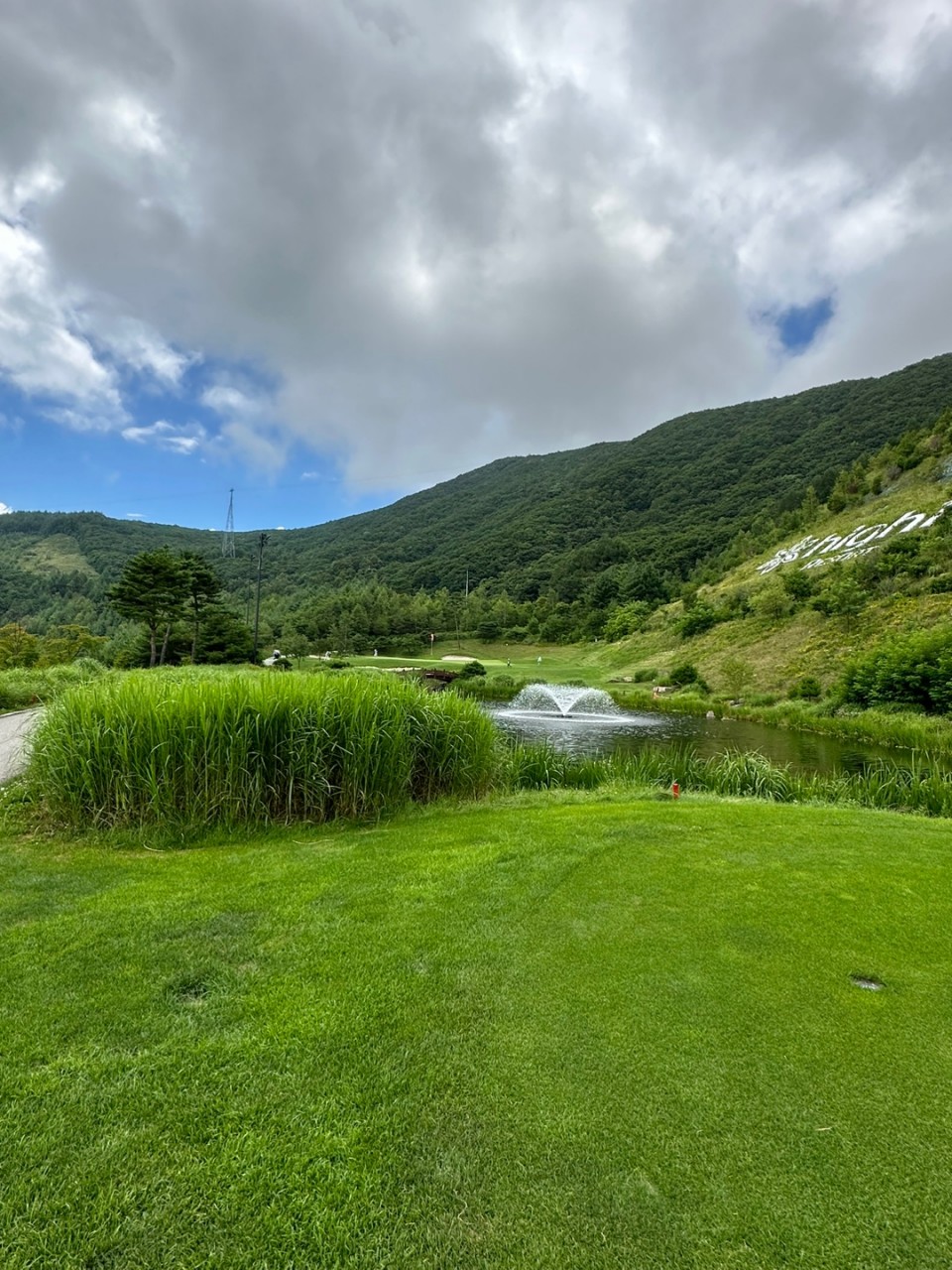 4ede615adbc655e385cca97ff7151045_1773626076_0315.jpg 4ede615adbc655e385cca97ff7151045_1773626076_0315.jpg