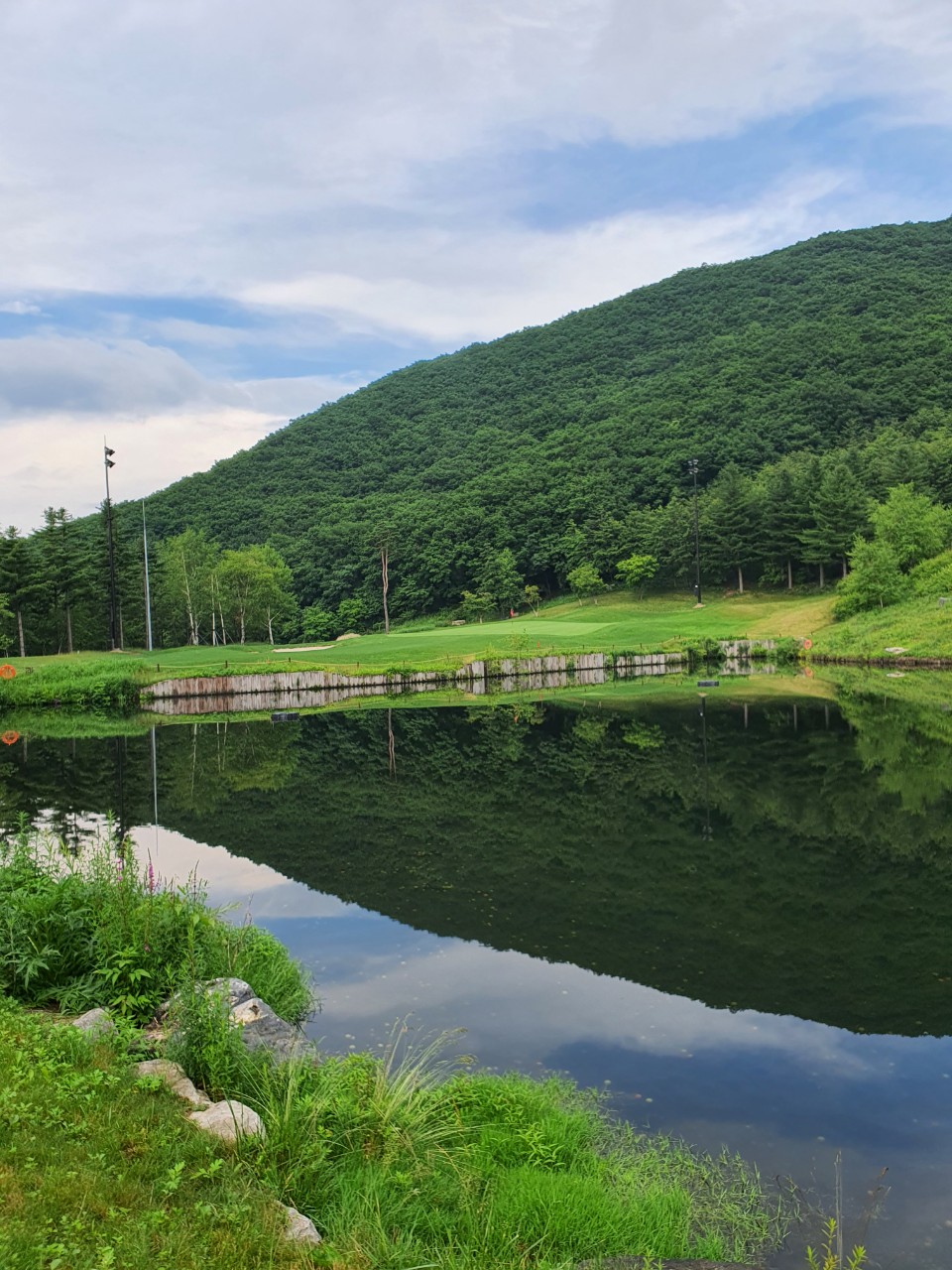 4ede615adbc655e385cca97ff7151045_1773626087_454.jpg 4ede615adbc655e385cca97ff7151045_1773626087_454.jpg