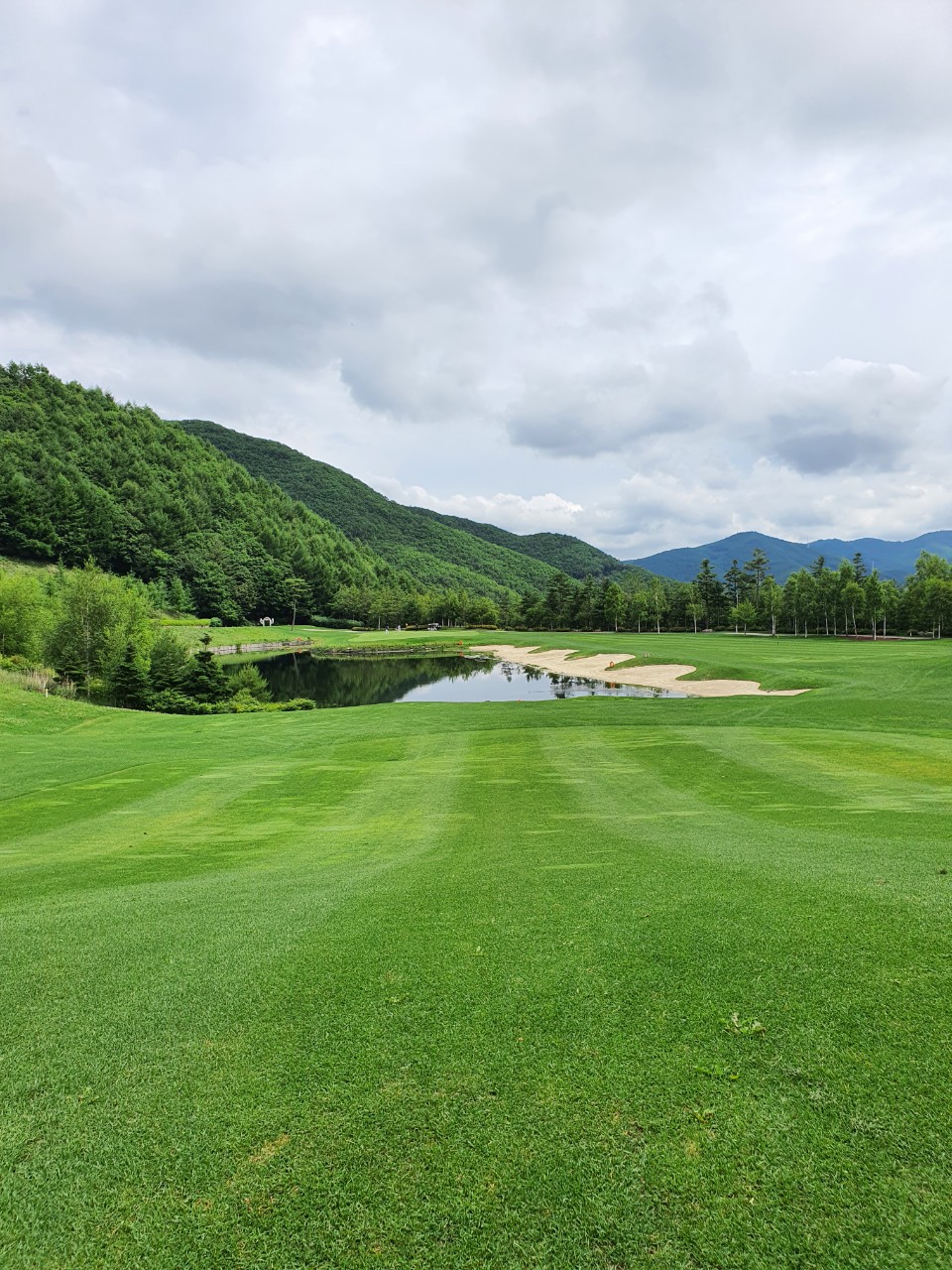 4ede615adbc655e385cca97ff7151045_1773626088_1006.jpg 4ede615adbc655e385cca97ff7151045_1773626088_1006.jpg