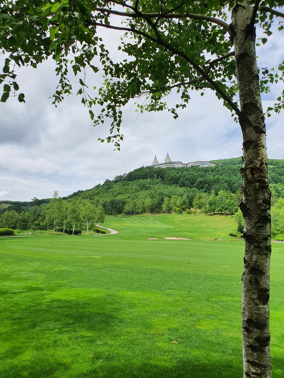 4ede615adbc655e385cca97ff7151045_1773626088_2896.jpg 4ede615adbc655e385cca97ff7151045_1773626088_2896.jpg