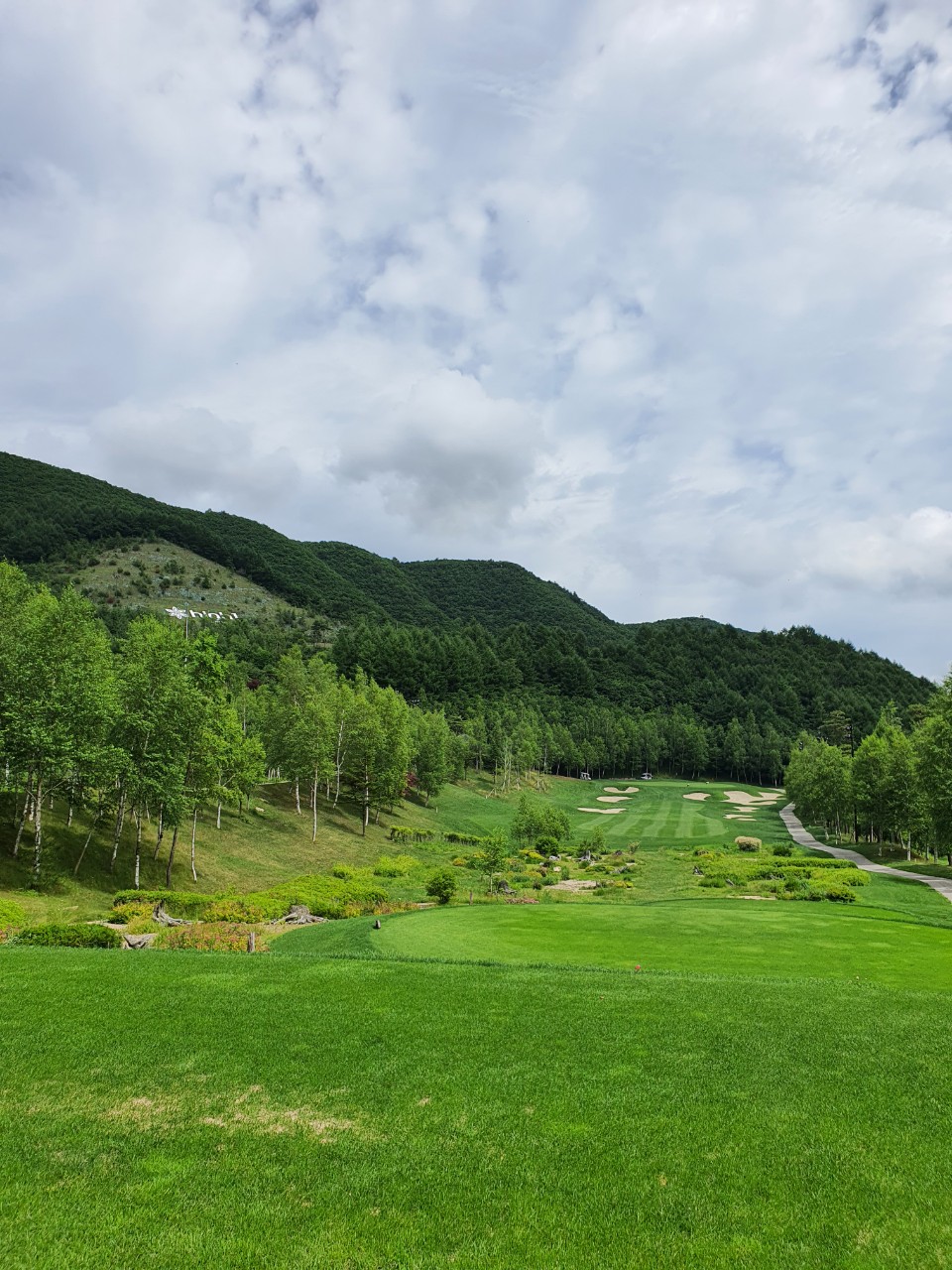 4ede615adbc655e385cca97ff7151045_1773626088_6371.jpg 4ede615adbc655e385cca97ff7151045_1773626088_6371.jpg