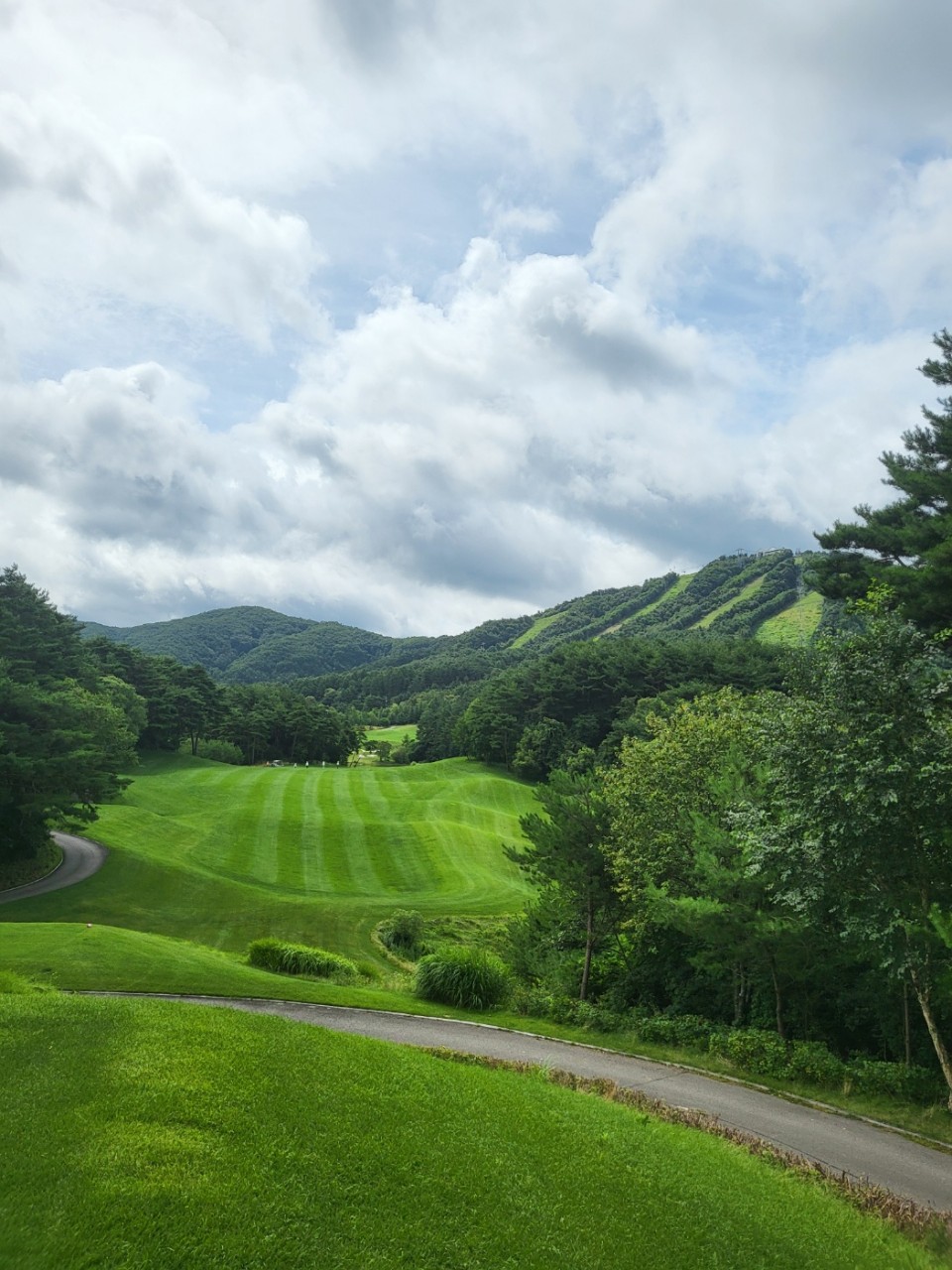 7f681fa92b8a094c71a324f3ee1b75d7_1774331935_2457.jpg 7f681fa92b8a094c71a324f3ee1b75d7_1774331935_2457.jpg