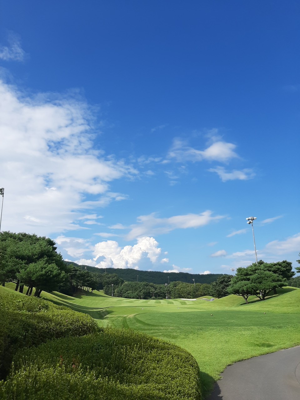 09ba0ba320ca6a1290adf093a17f7f02_1776147985_3803.jpg 09ba0ba320ca6a1290adf093a17f7f02_1776147985_3803.jpg