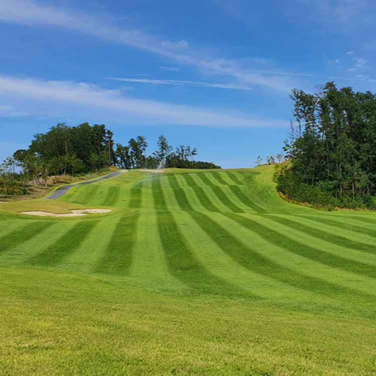 ac89fe2cee53936d99ea60508a0c4986_1775716117_2675.jpg ac89fe2cee53936d99ea60508a0c4986_1775716117_2675.jpg