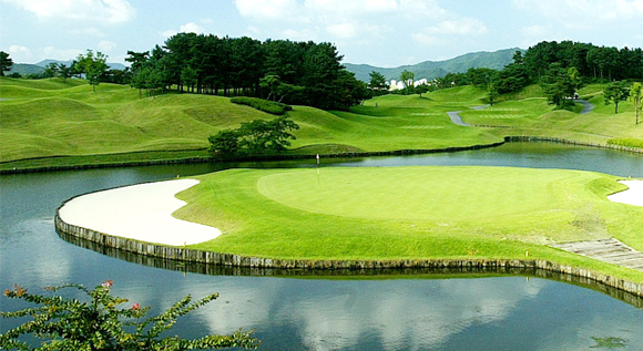7fb8d2c054846bcfa36babd95ca8096c_1782446771_8453.jpg